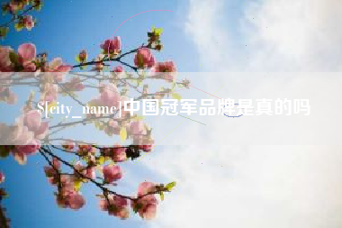 汕头中国冠军品牌是真的吗