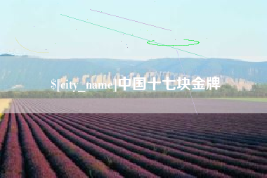 汕头中国十七块金牌