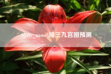 汕头排三九宫图预测