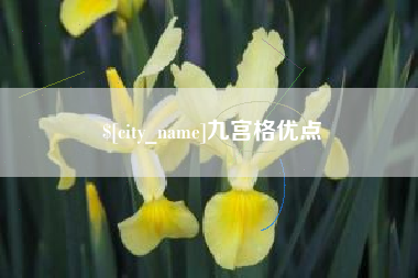 汕头九宫格优点
