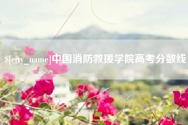 汕头中国消防救援学院高考分数线