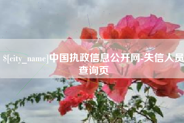 汕头中国执政信息公开网-失信人员查询页