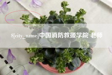 汕头中国消防救援学院 老师