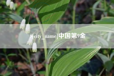 汕头中国第9金