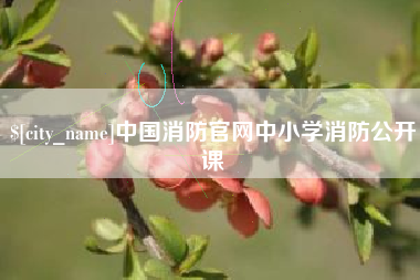 汕头中国消防官网中小学消防公开课