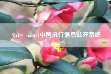 汕头中国执行信息公开系统
