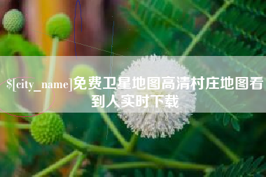 汕头免费卫星地图高清村庄地图看到人实时下载