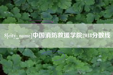 汕头中国消防救援学院2018分数线