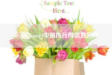汕头中国执行网信息官网