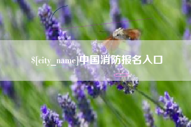 汕头中国消防报名入口