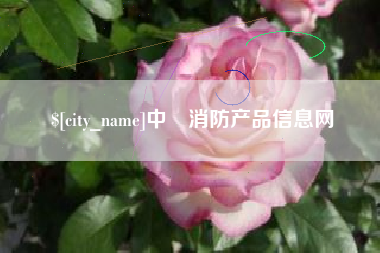 汕头中囯消防产品信息网