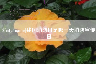 汕头我国消防日是哪一天消防宣传日