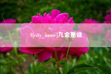 汕头九金是谁