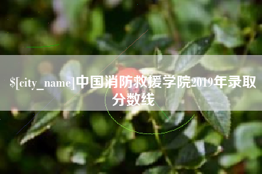 汕头中国消防救援学院2019年录取分数线