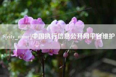 汕头中国执行信息公开网平台维护