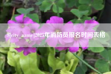 汕头2025年消防员报名时间表格