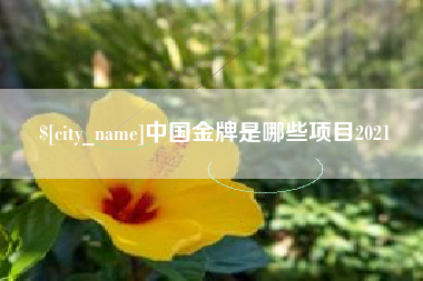 汕头中国金牌是哪些项目2021