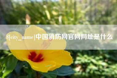 汕头中国消防网官网网址是什么