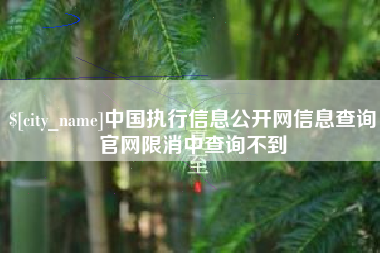 汕头中国执行信息公开网信息查询官网限消中查询不到