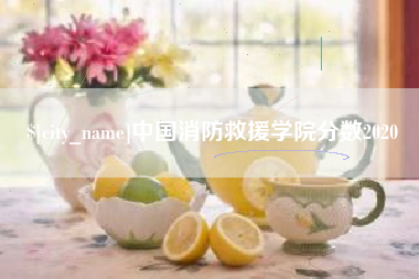 汕头中国消防救援学院分数2020