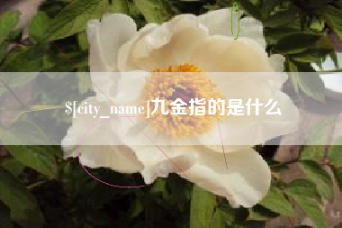 汕头九金指的是什么