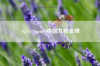 汕头中国九枚金牌