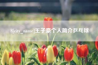 汕头王子豪个人简介乒乓球