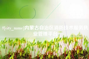 汕头内蒙古自治区消防技术服务执业管理平台