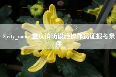 汕头重庆消防设施操作员证报考条件