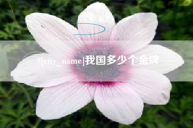 汕头我国多少个金牌