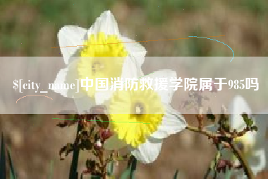 汕头中国消防救援学院属于985吗