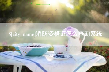 汕头消防资格证怎么查询系统