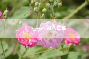汕头第九金是