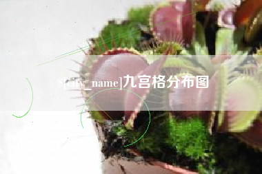 汕头九宫格分布图