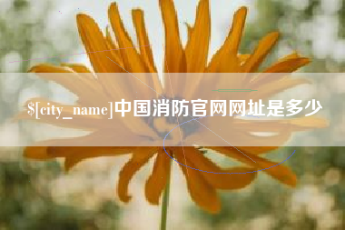 汕头中国消防官网网址是多少