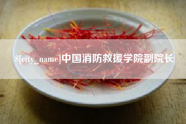 汕头中国消防救援学院副院长