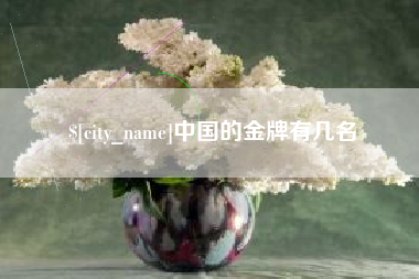 汕头中国的金牌有几名