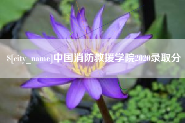 汕头中国消防救援学院2020录取分