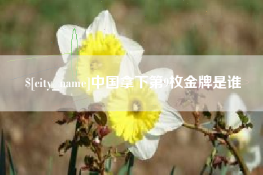 汕头中国拿下第9枚金牌是谁