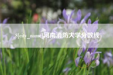 汕头河南消防大学分数线