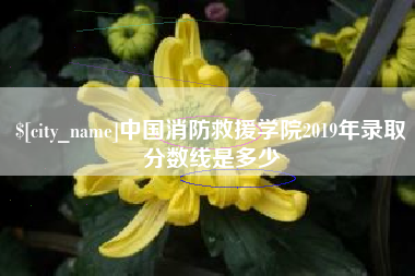 汕头中国消防救援学院2019年录取分数线是多少