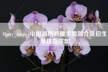 汕头中国消防救援学院简介及招生章程指挥部