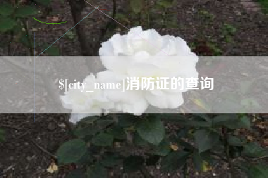 汕头消防证的查询