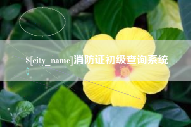汕头消防证初级查询系统