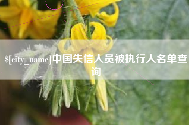 汕头中国失信人员被执行人名单查询