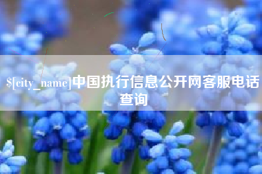 汕头中国执行信息公开网客服电话查询