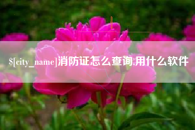 汕头消防证怎么查询,用什么软件