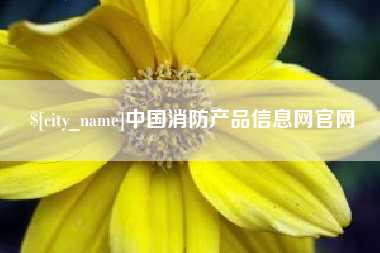 汕头中国消防产品信息网官网
