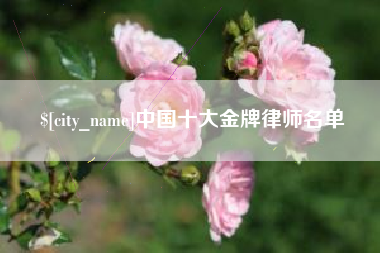 汕头中国十大金牌律师名单