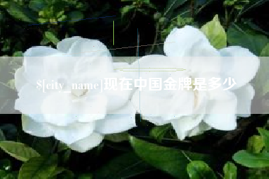 汕头现在中国金牌是多少
